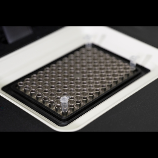 [RW2-743202.100] NucleoType Plant PCR (100)